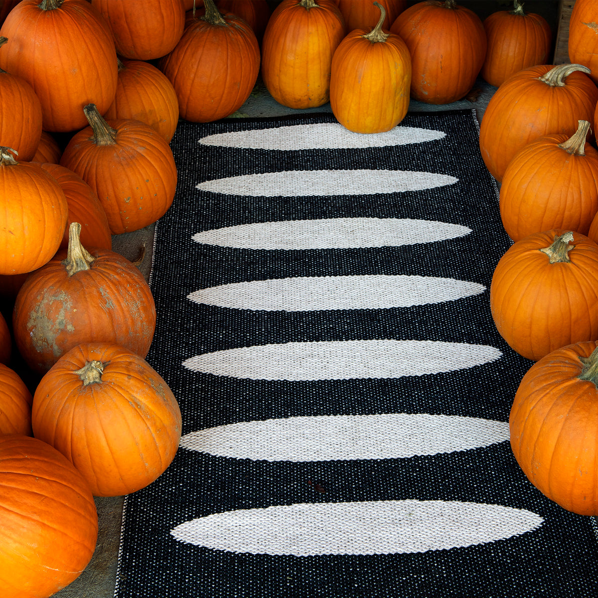 Pappelina x Bloomindales 3