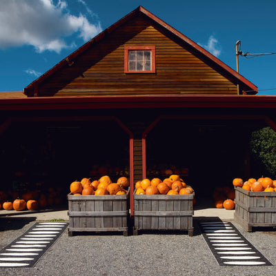 Pappelina x Bloomindales 3