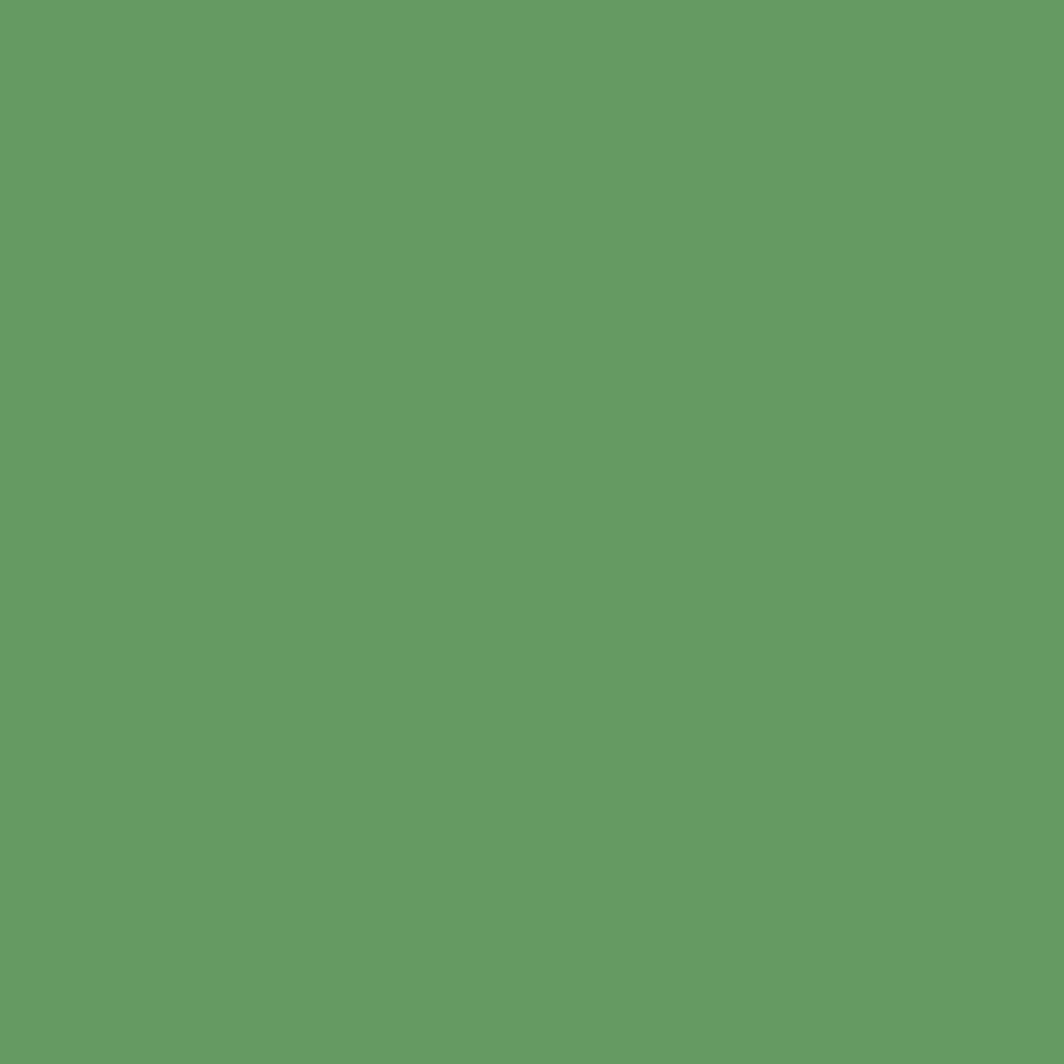 Mirror ICE CREAM Exotic Green