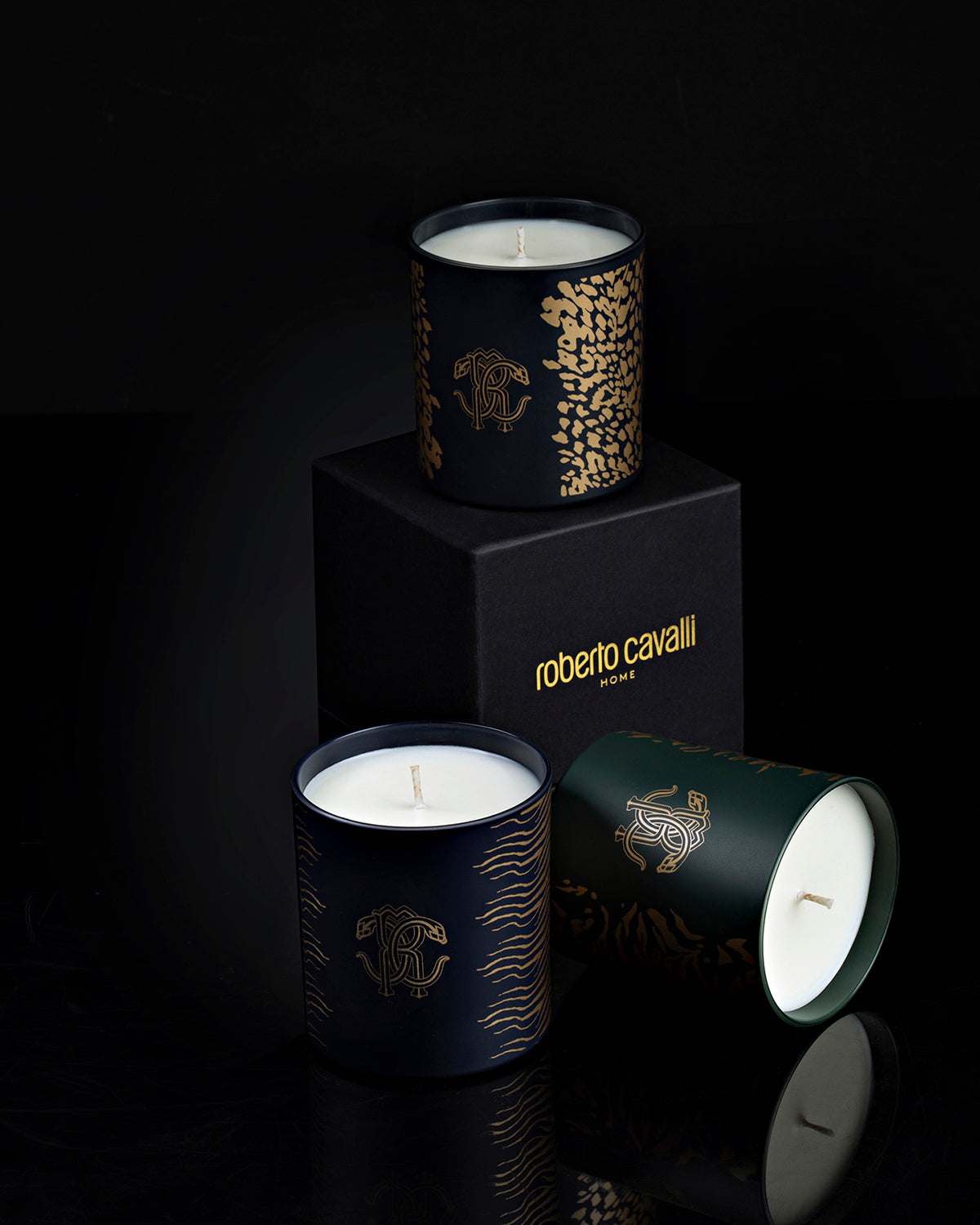 Scented Candle, WILD JUNGLE, Glass, Clear, Ø 3.27"