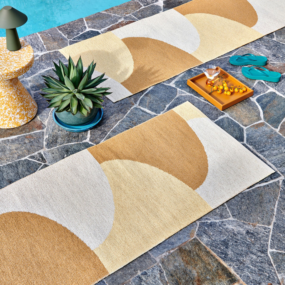 Pappelina x Bloomindales Missing-1