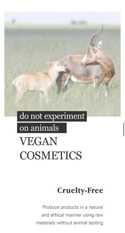 [ TRANEX ] Sun Sticks 20g