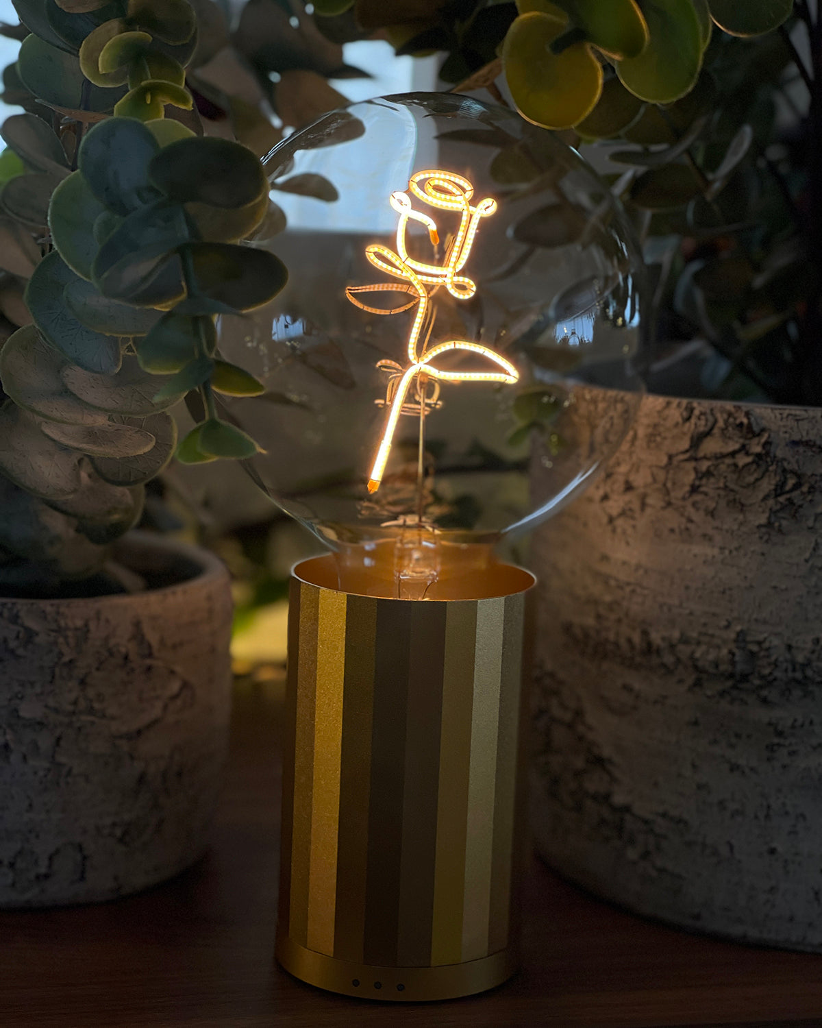 Bulb ROSE Red with Base Table Lamp PORTABLE Black