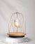 DAQICONCEPT Bluetooth Speaker + Light JINGOO Swarowski THE RADIANT STAR