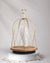 DAQICONCEPT Bluetooth Speaker + Light JINGOO Swarowski THE RADIANT STAR