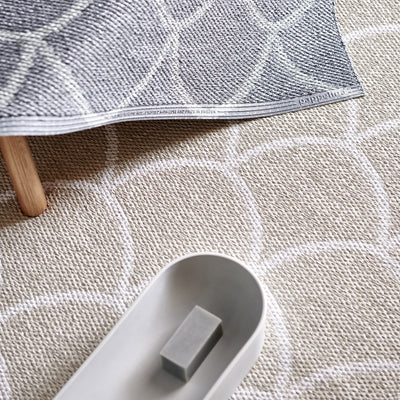 Pappelina x Bloomindales 4