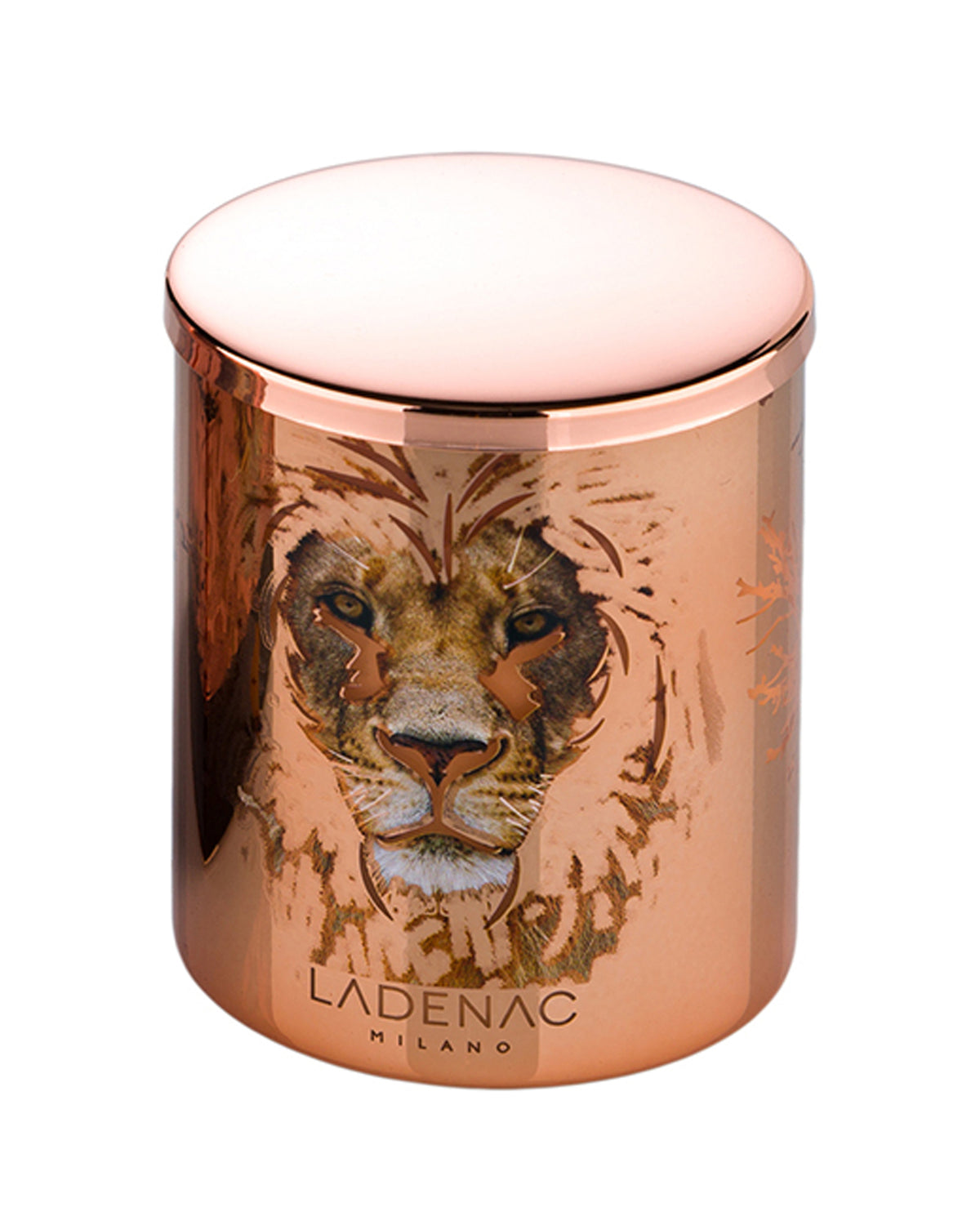 Candle in Jar AFRICA LION 350gr