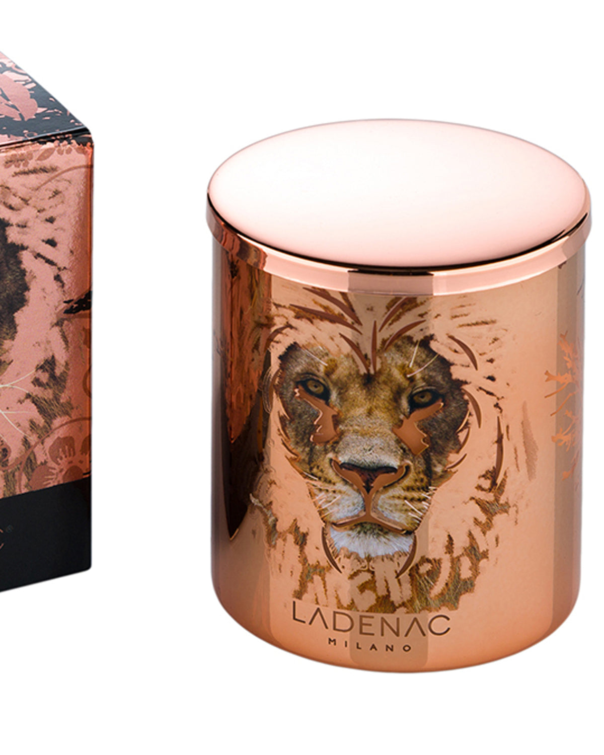 Candle in Jar AFRICA LION 350gr