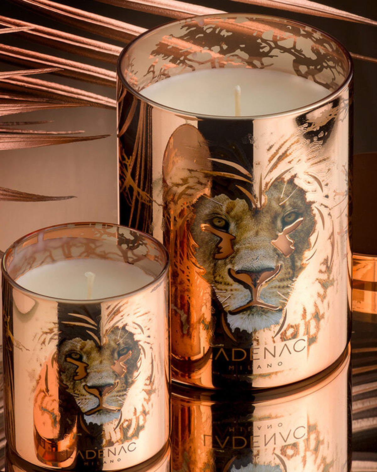 Candle in Jar AFRICA LION 350gr