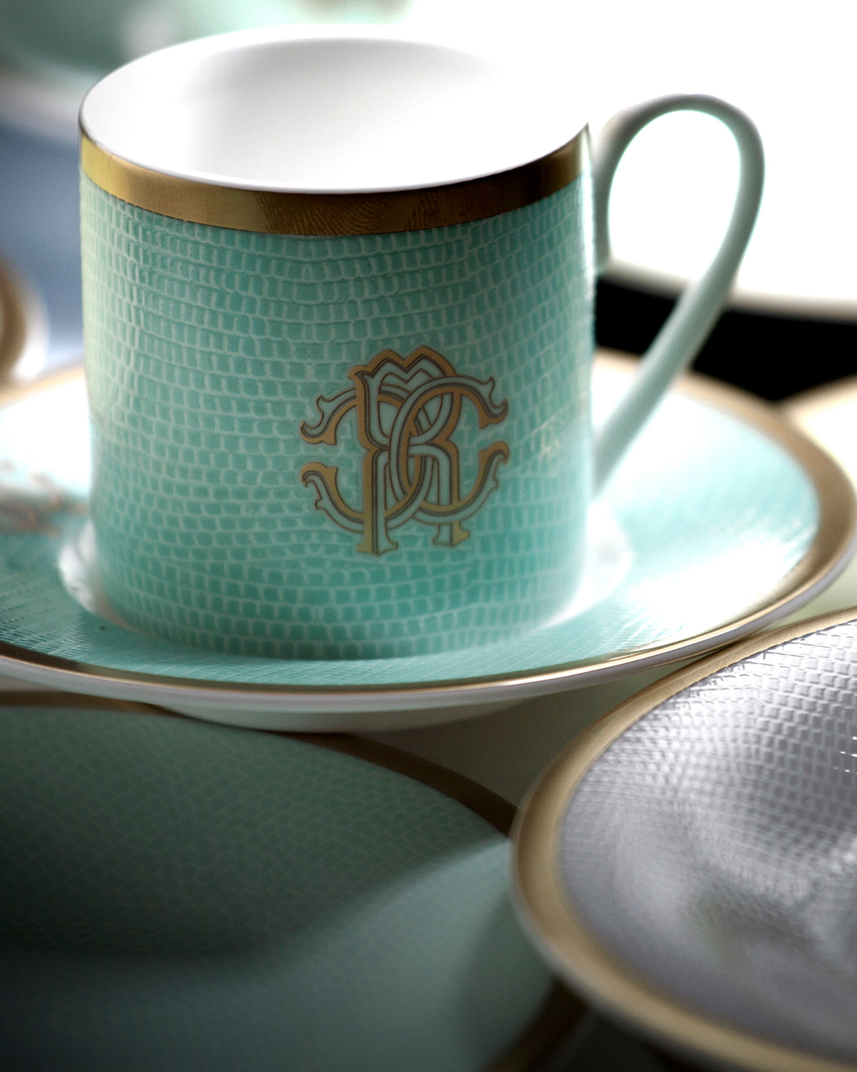 LIZZARD SUNRISE Coffee Cup & Saucer in Luxury Gift Box Set of 6