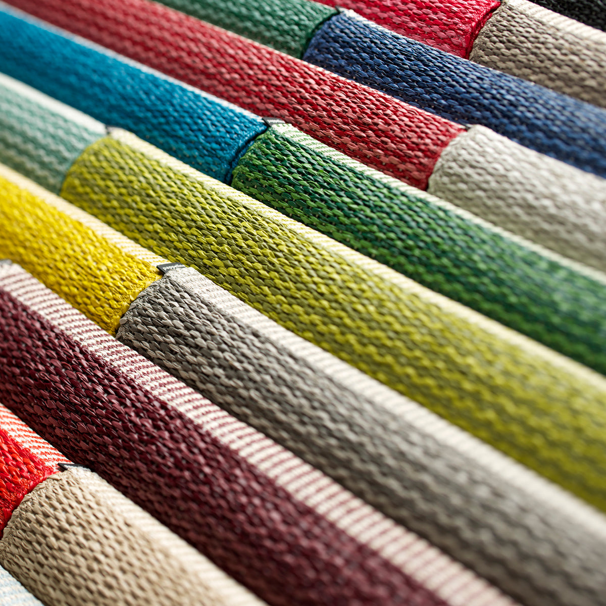 Pappelina x Bloomindales 4