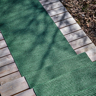 Pappelina x Bloomindales 4