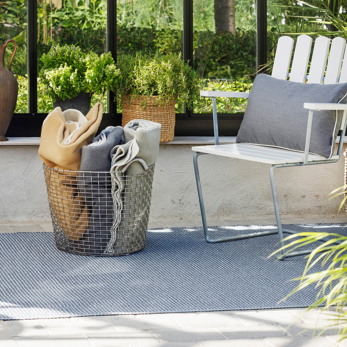 Pappelina x Bloomindales 4