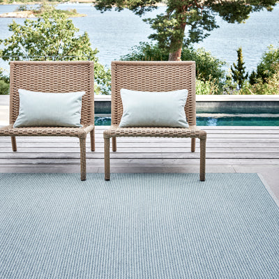 Pappelina x Bloomindales 4