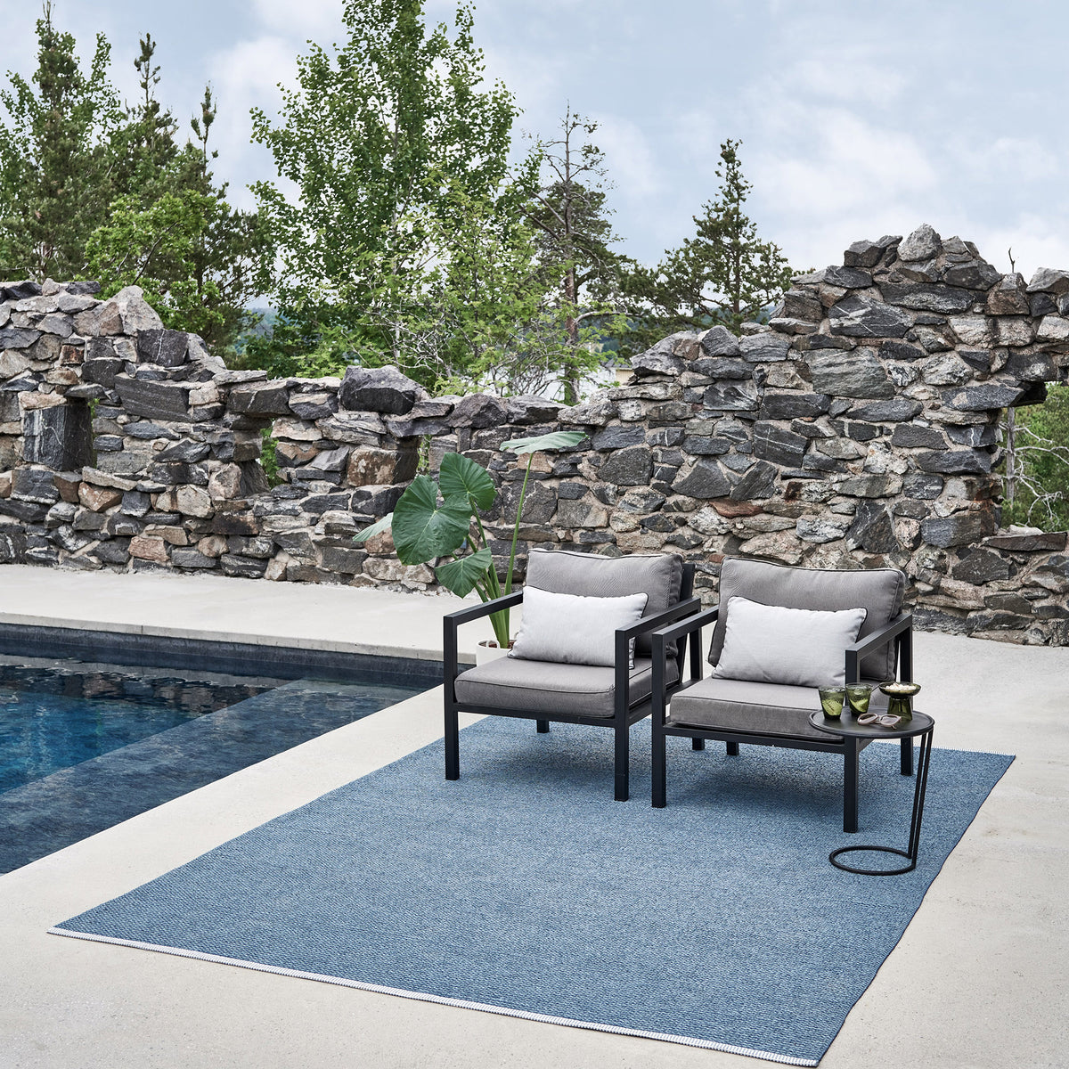 Pappelina x Bloomindales 4