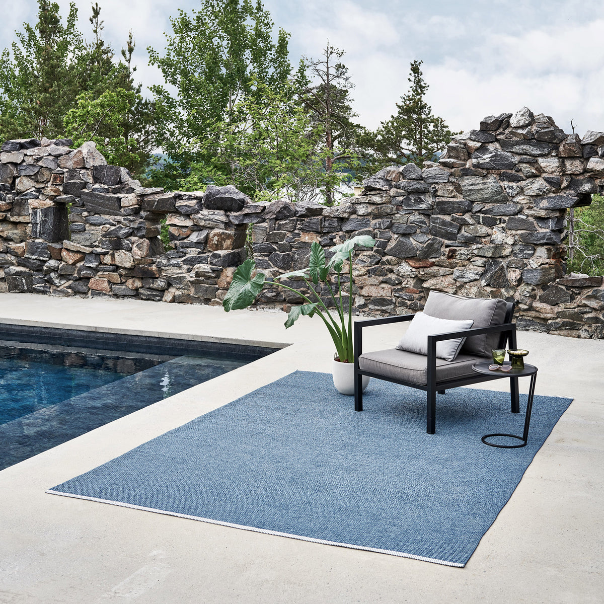 Pappelina x Bloomindales 4