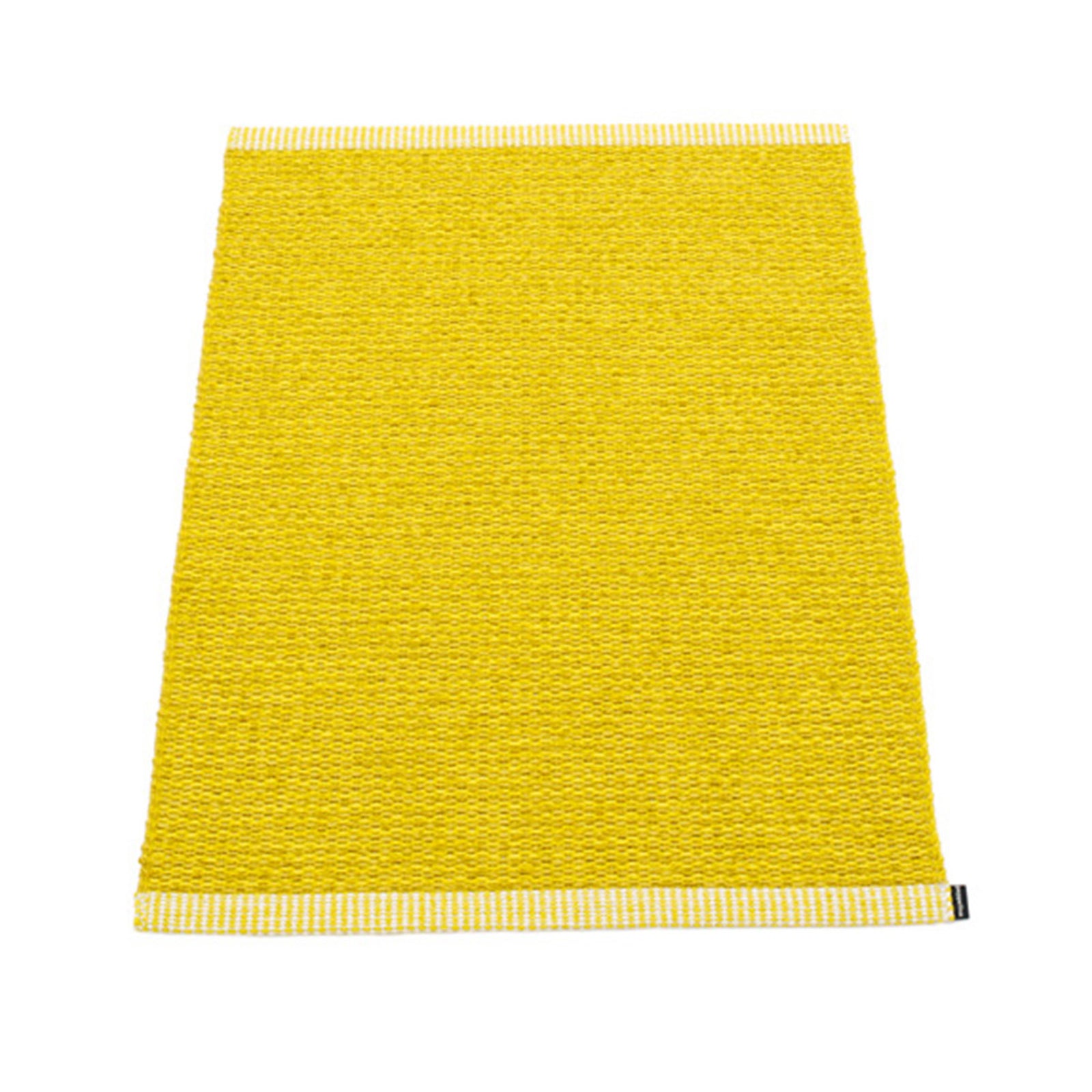 Pappelina x Bloomindales 6