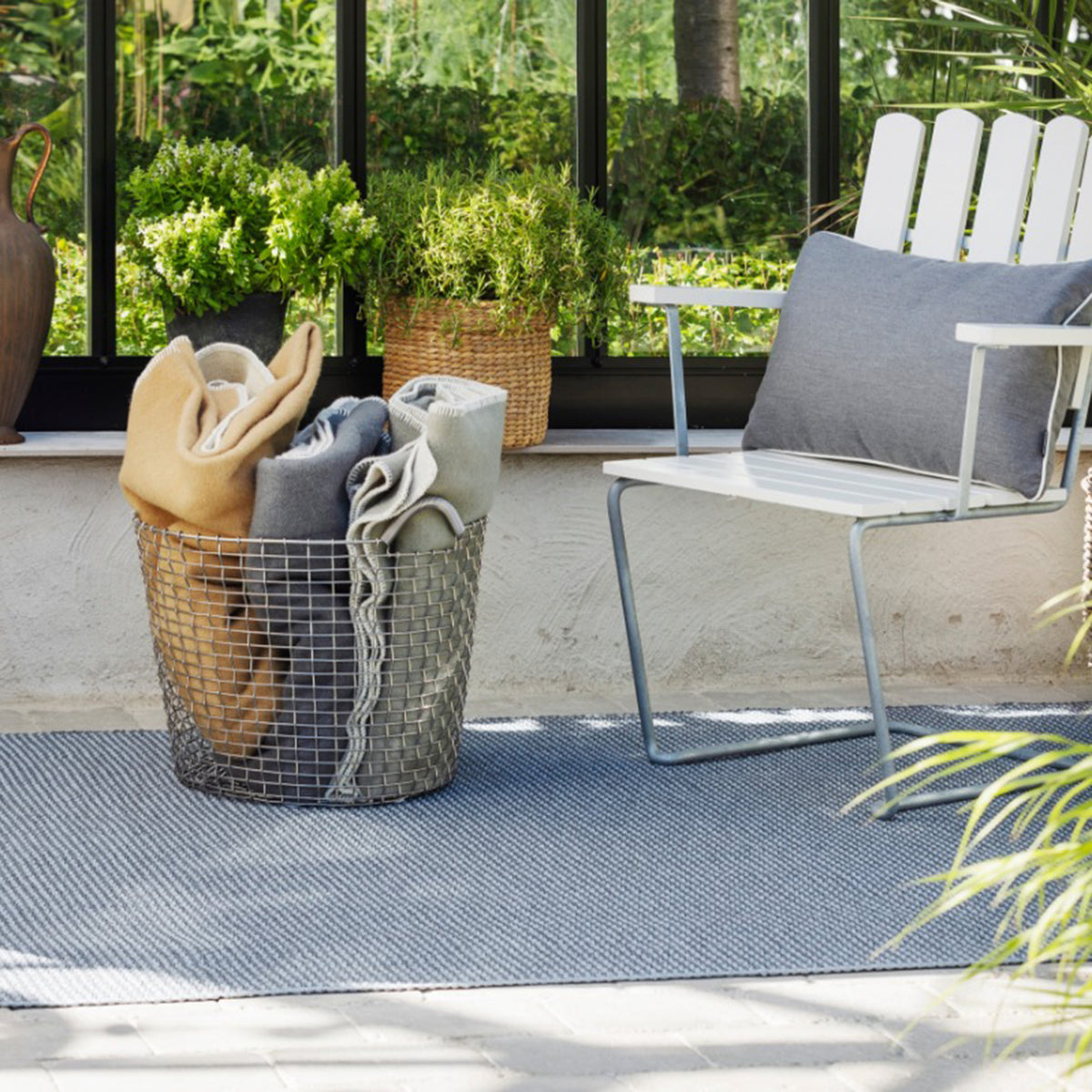 Pappelina x Bloomindales 4