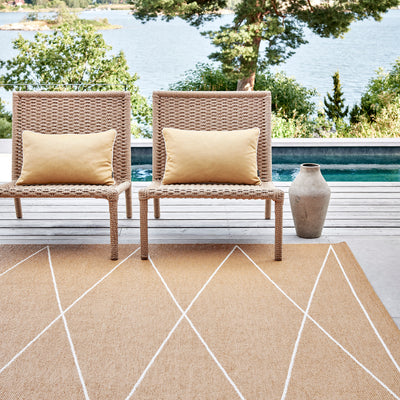 Pappelina x Bloomindales 4