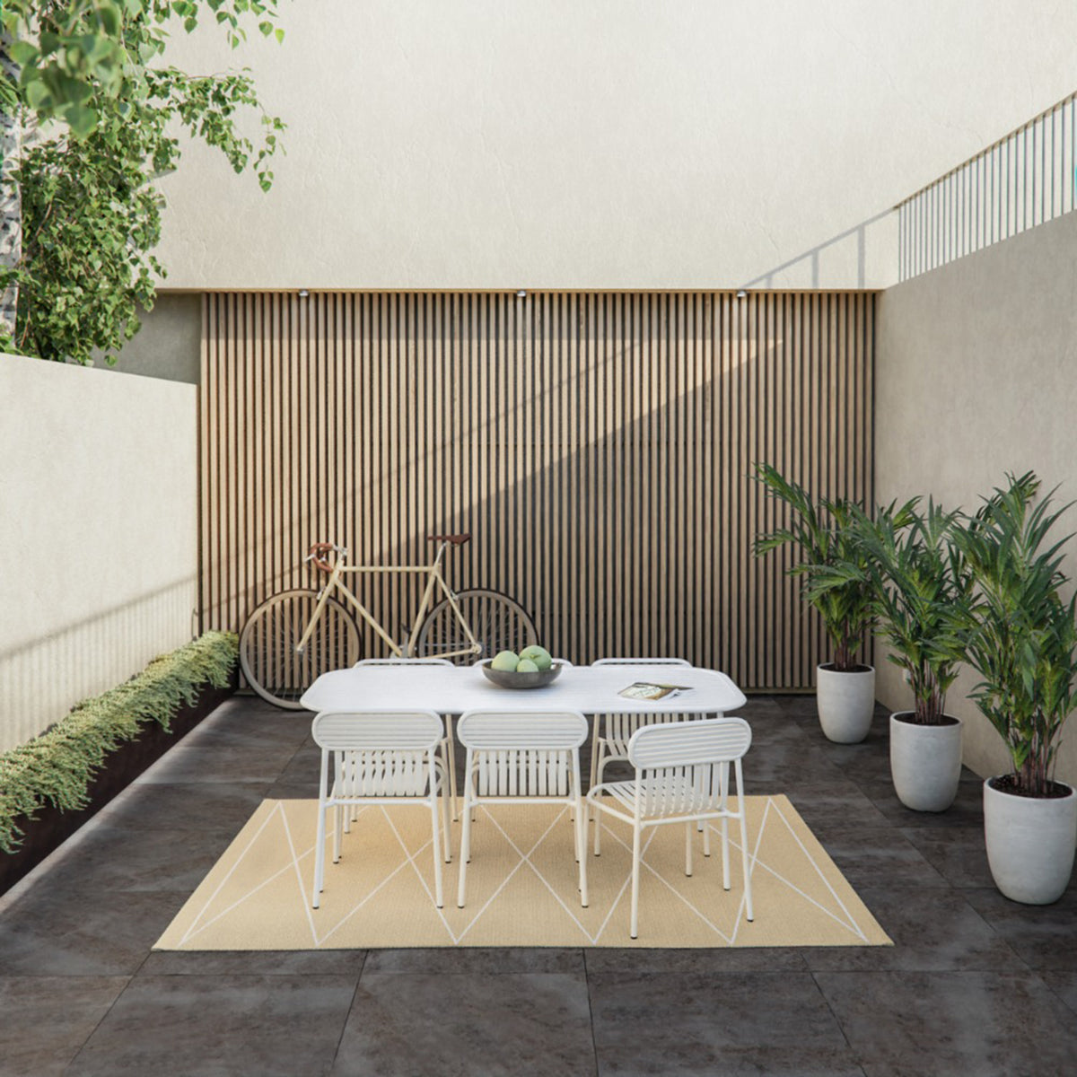 Pappelina x Bloomindales 4