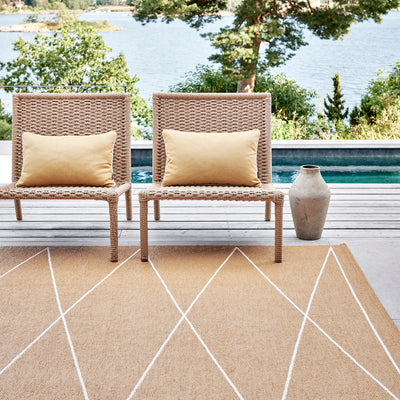 Pappelina x Bloomindales 4