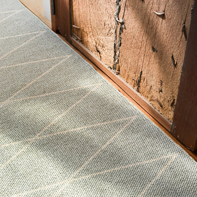 Pappelina x Bloomindales 4