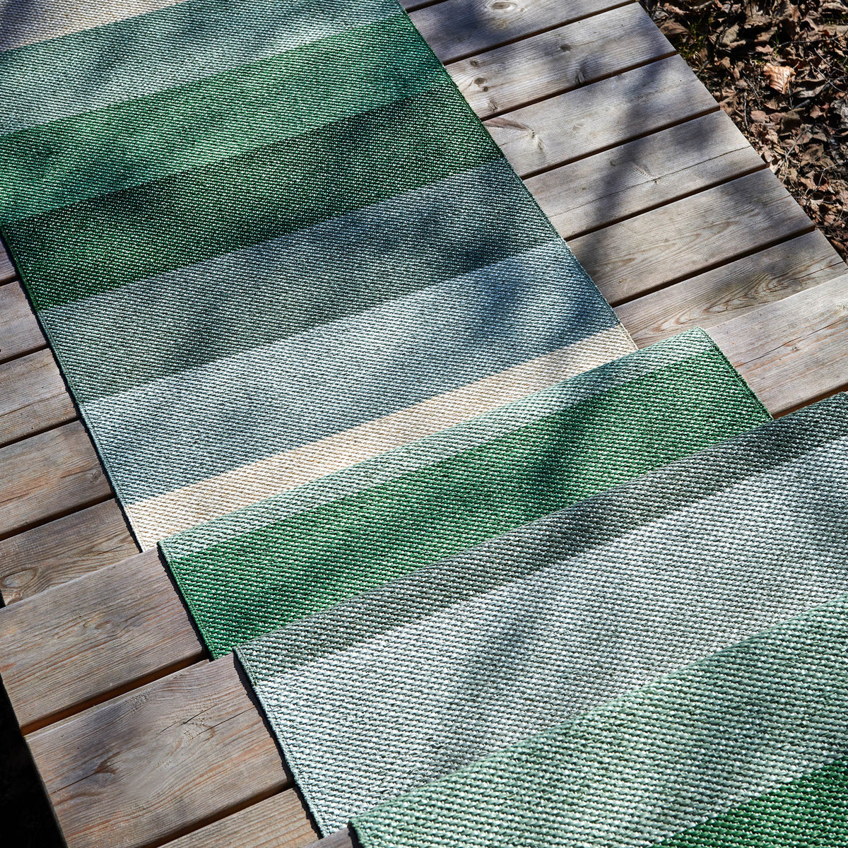 Pappelina x Bloomindales 4