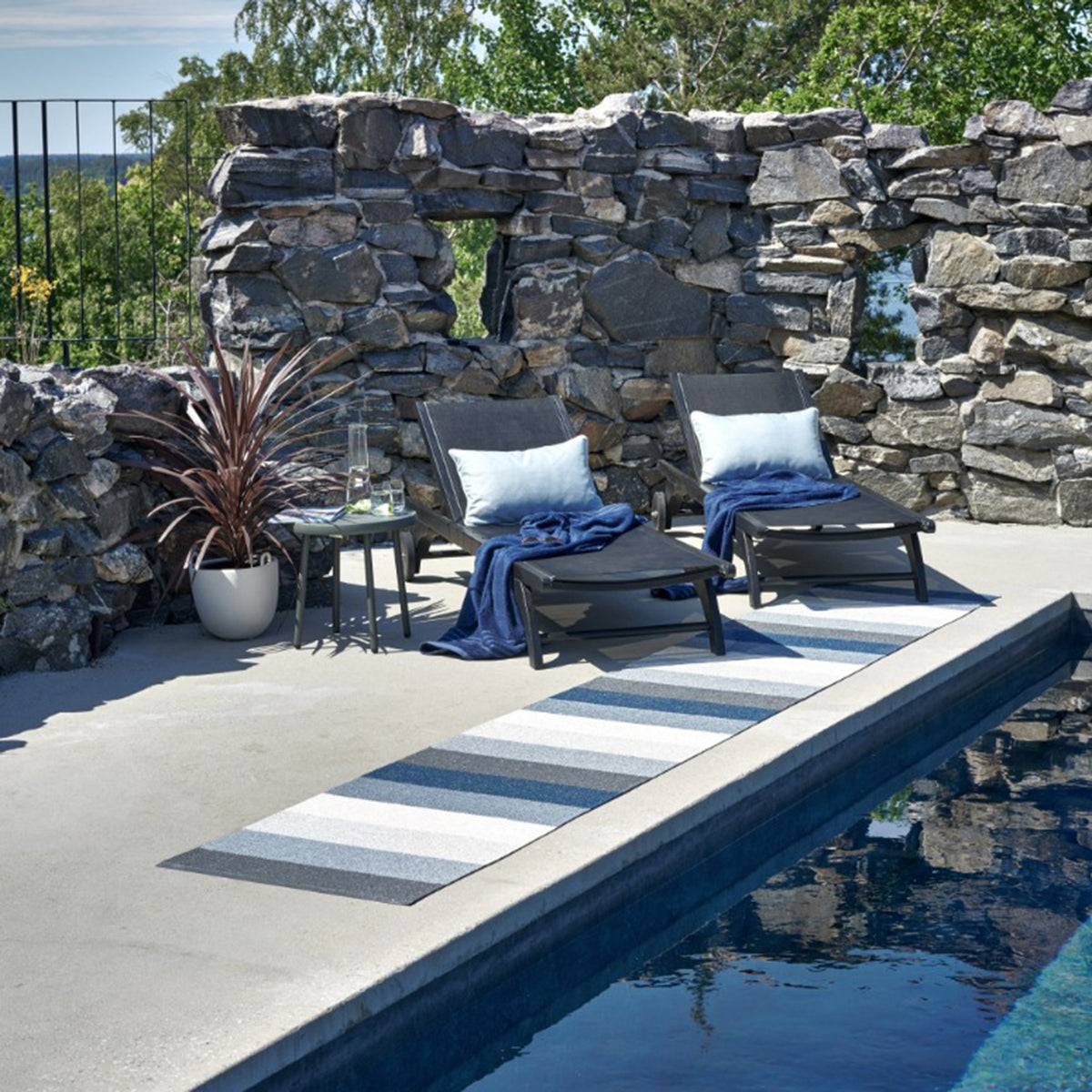 Pappelina x Bloomindales 4