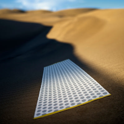 Pappelina x Bloomindales 4