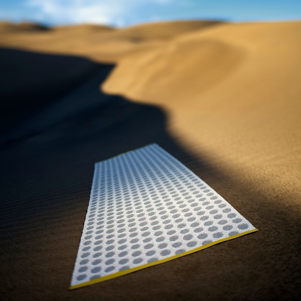 Pappelina x Bloomindales 4