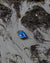 Car UFO LEONESSA Blue