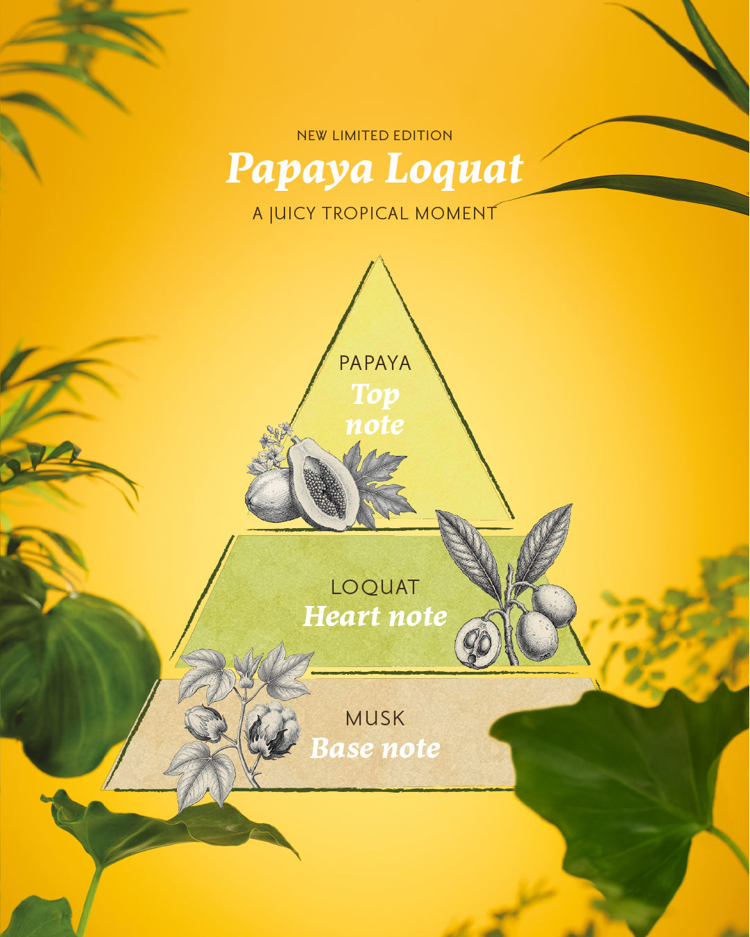 Body Scrub 320gr Papaya Loquat