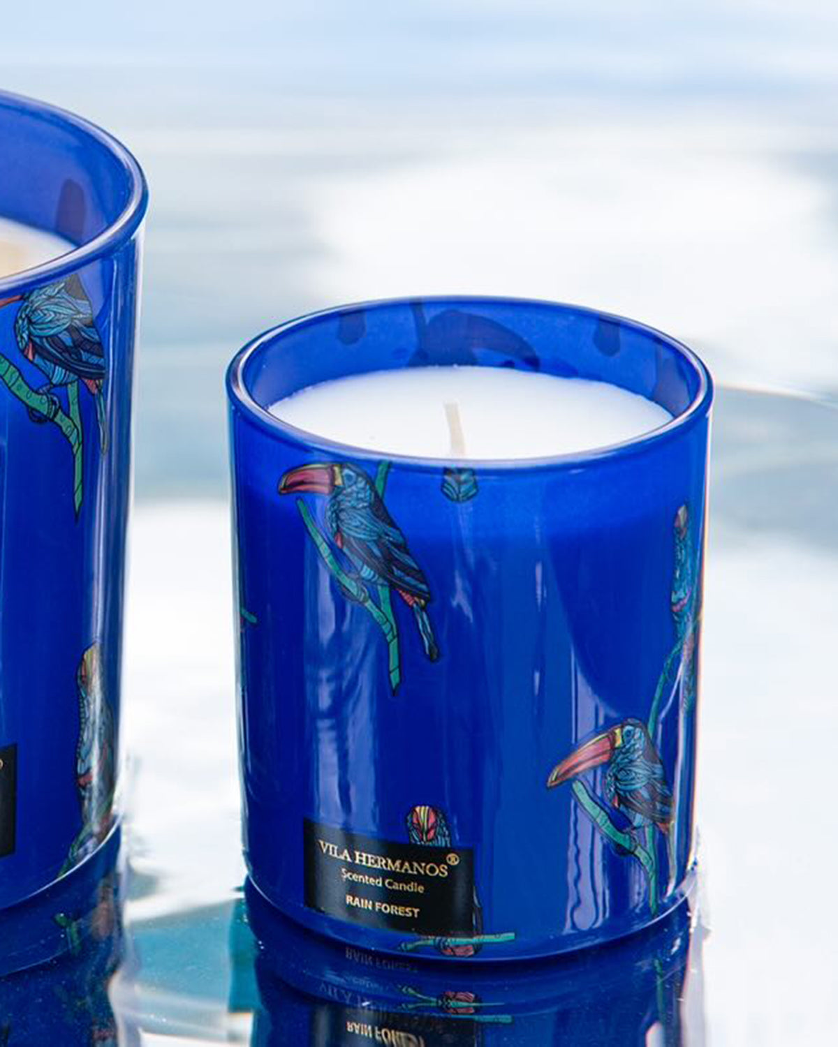 Candle in Jar JUNGLETOPIA RAIN FOREST 7oz Tucan