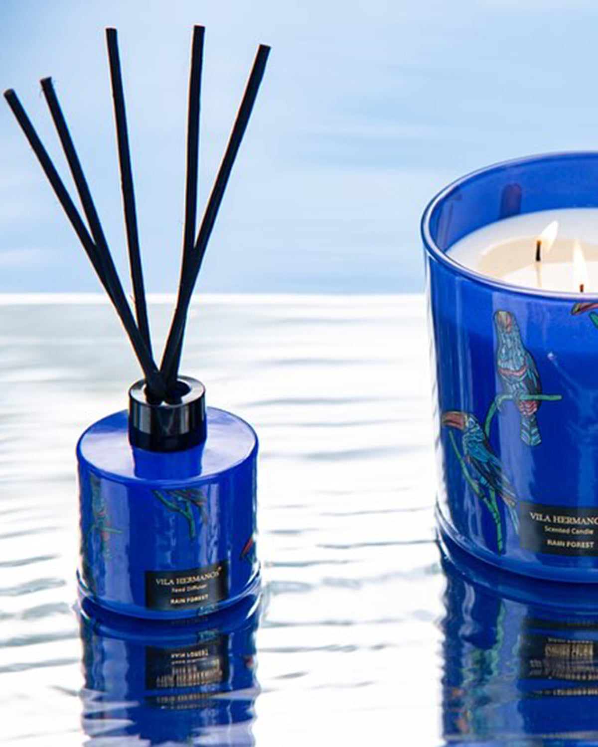 Diffuser Mikado Reed JUNGLETOPIA 3.3oz Wild Musk