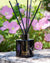 Diffuser Mikado Reed JUNGLETOPIA 3.3oz Colibri Hummingbird