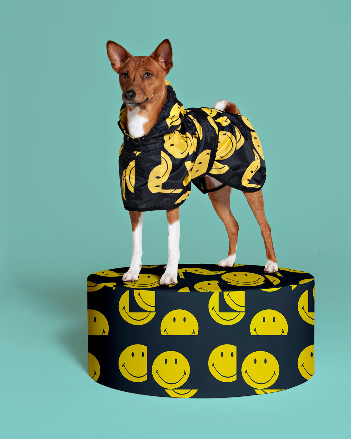Dog Rain Poncho SMILEY
