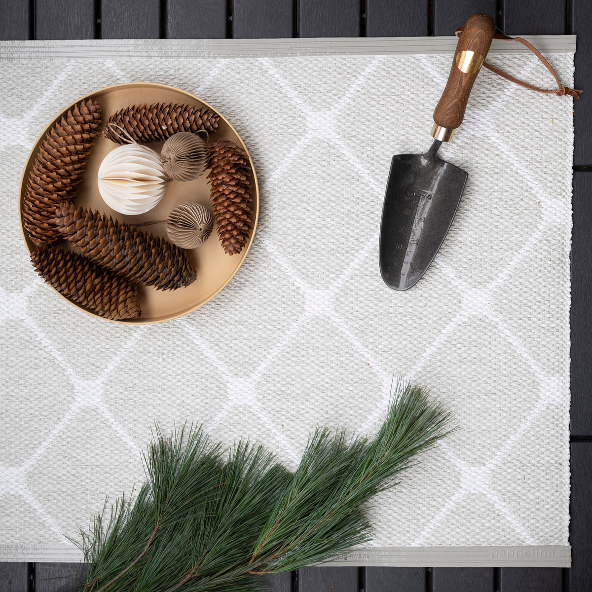 Pappelina x Bloomindales 2