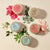 Repair Body Cream Lavender Apple 200ml