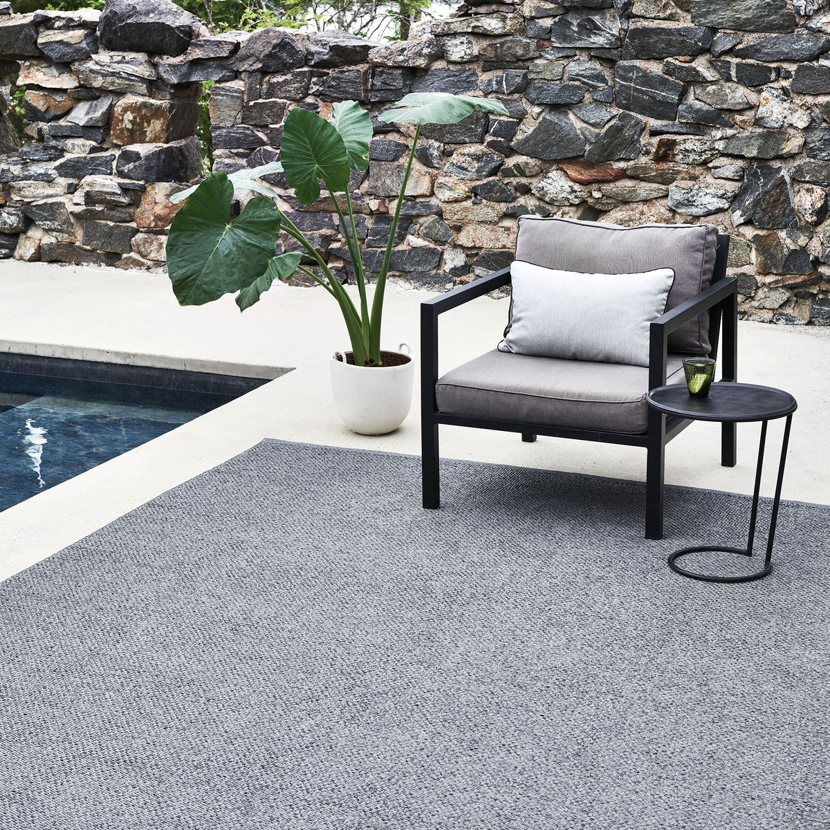 Pappelina x Bloomindales 2