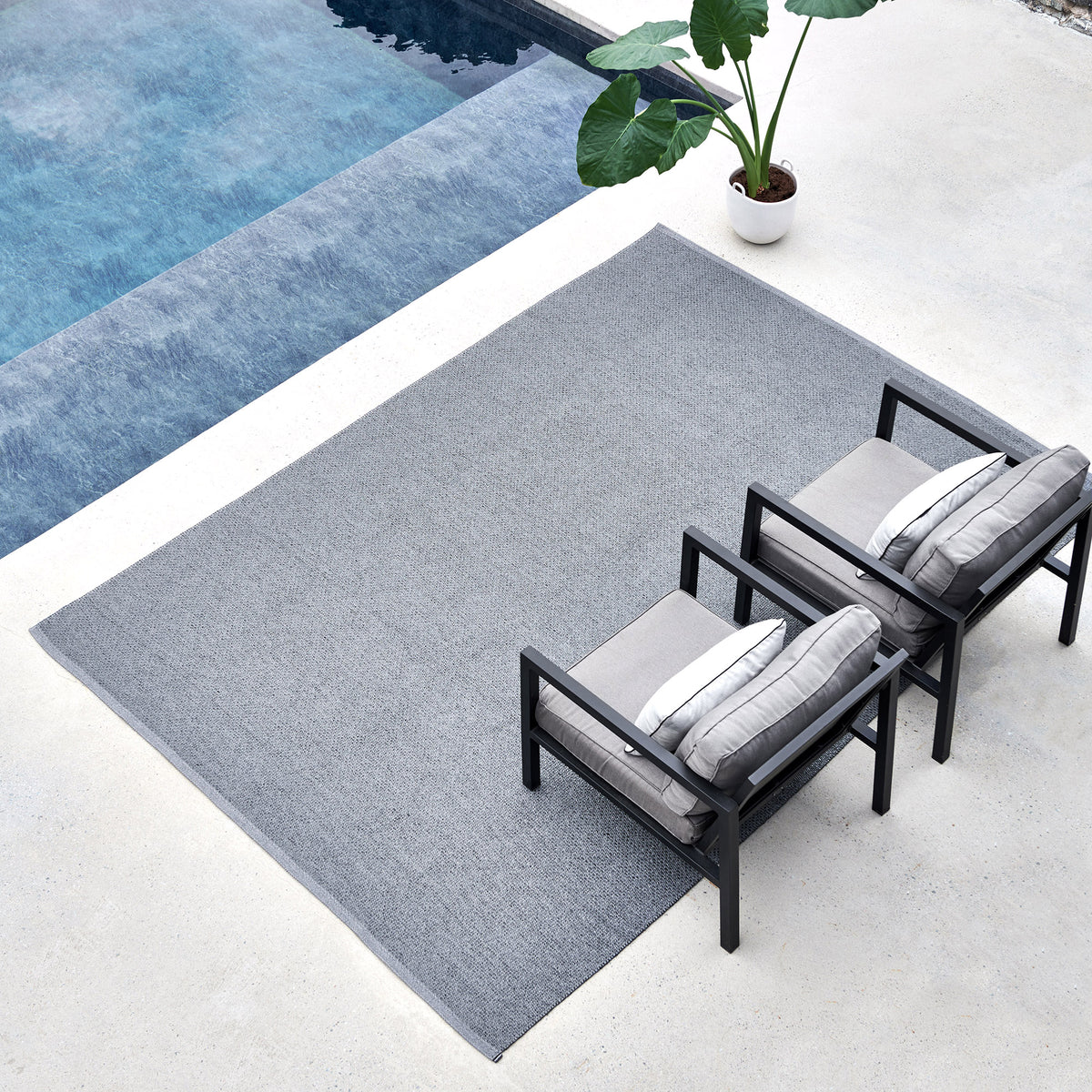 Pappelina x Bloomindales 2