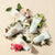 Silky Body Milk Green Rose 200ml