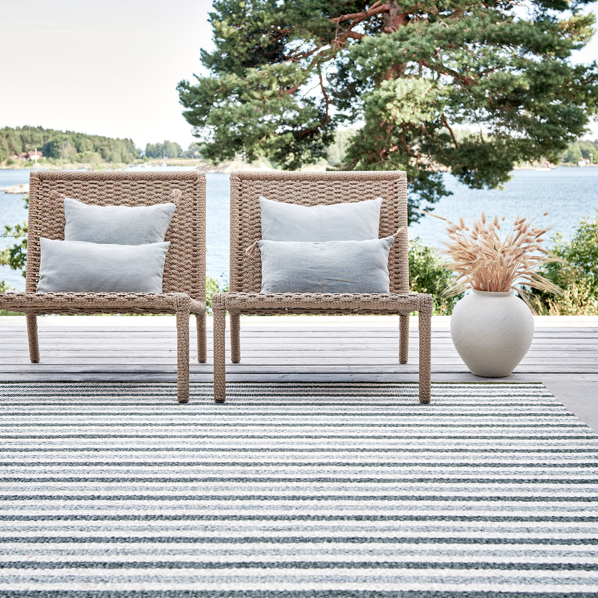 Pappelina x Bloomindales 2