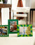 Tara Wilson Designs Frame SUNBURST Green and Light Green