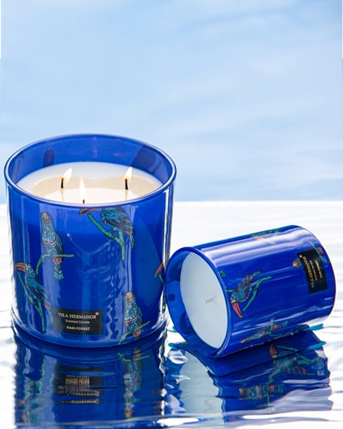 Candle in Jar JUNGLETOPIA TOUCAN RAIN FOREST 200gr 3.35 diam. x 4.13 in