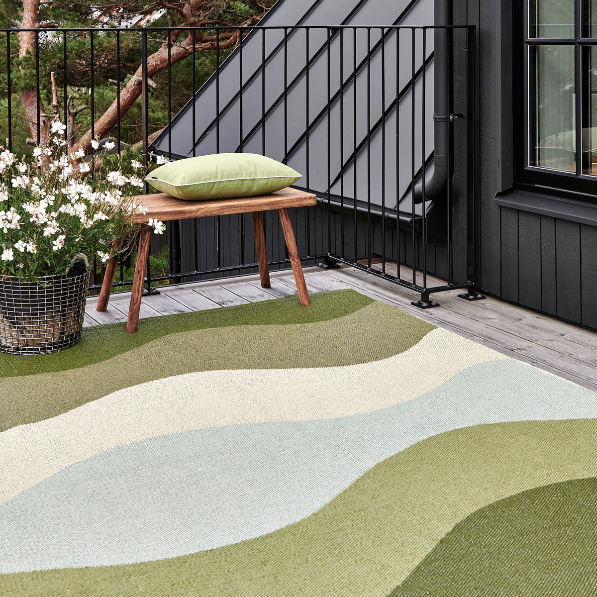 Pappelina x Bloomindales 2