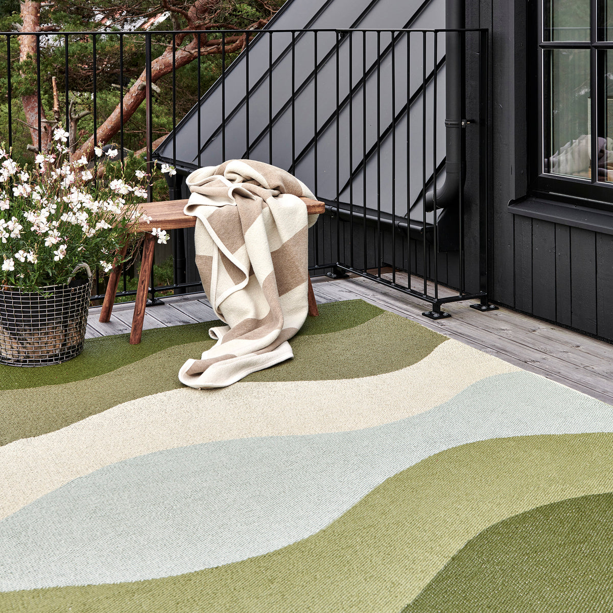 Pappelina x Bloomindales 2