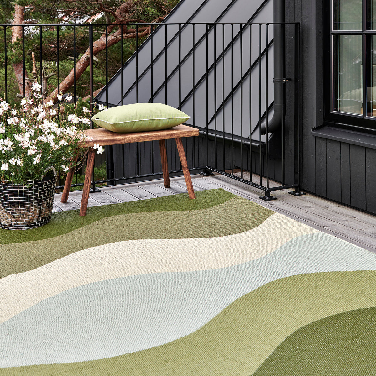 Pappelina x Bloomindales 2