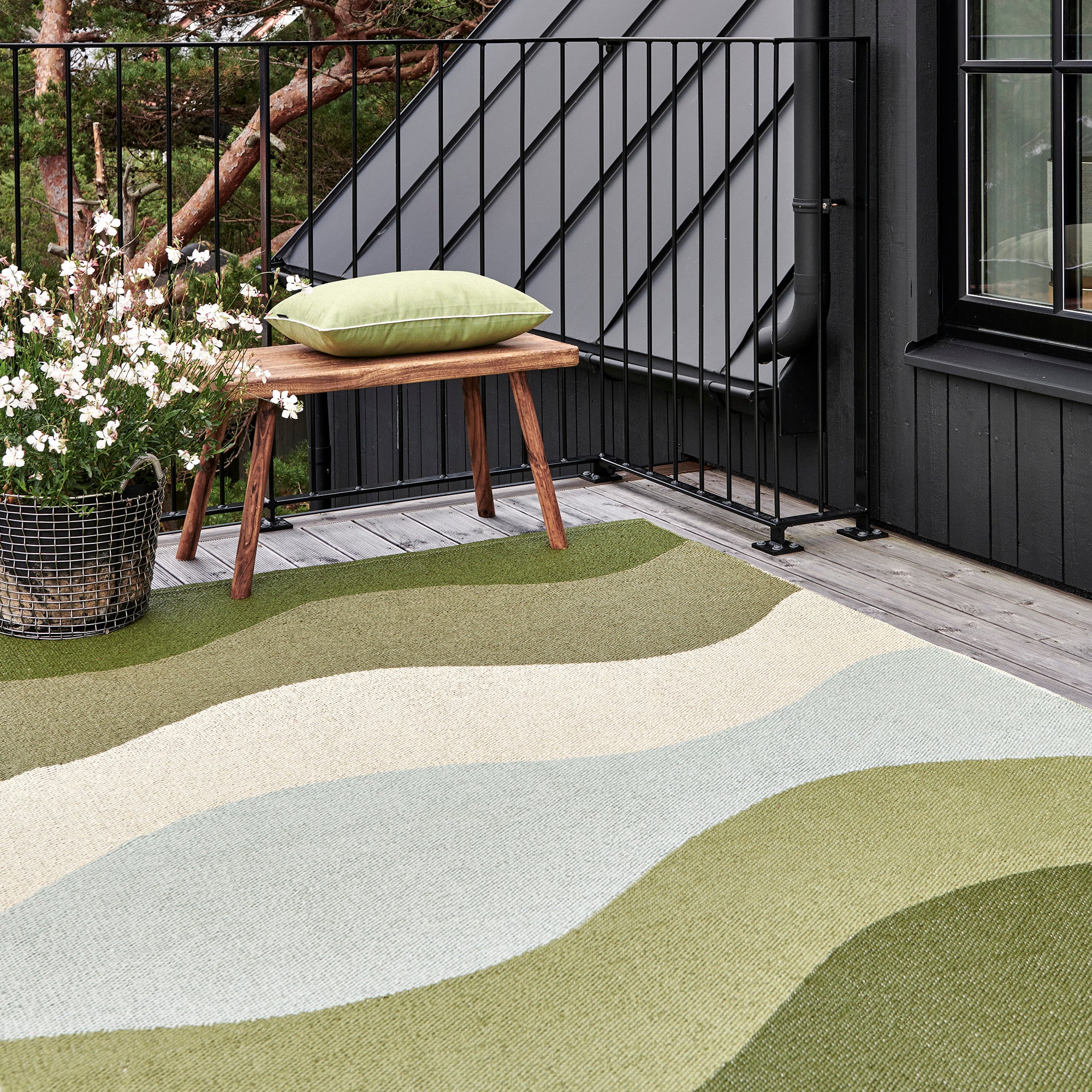 Pappelina x Bloomindales Missing-2