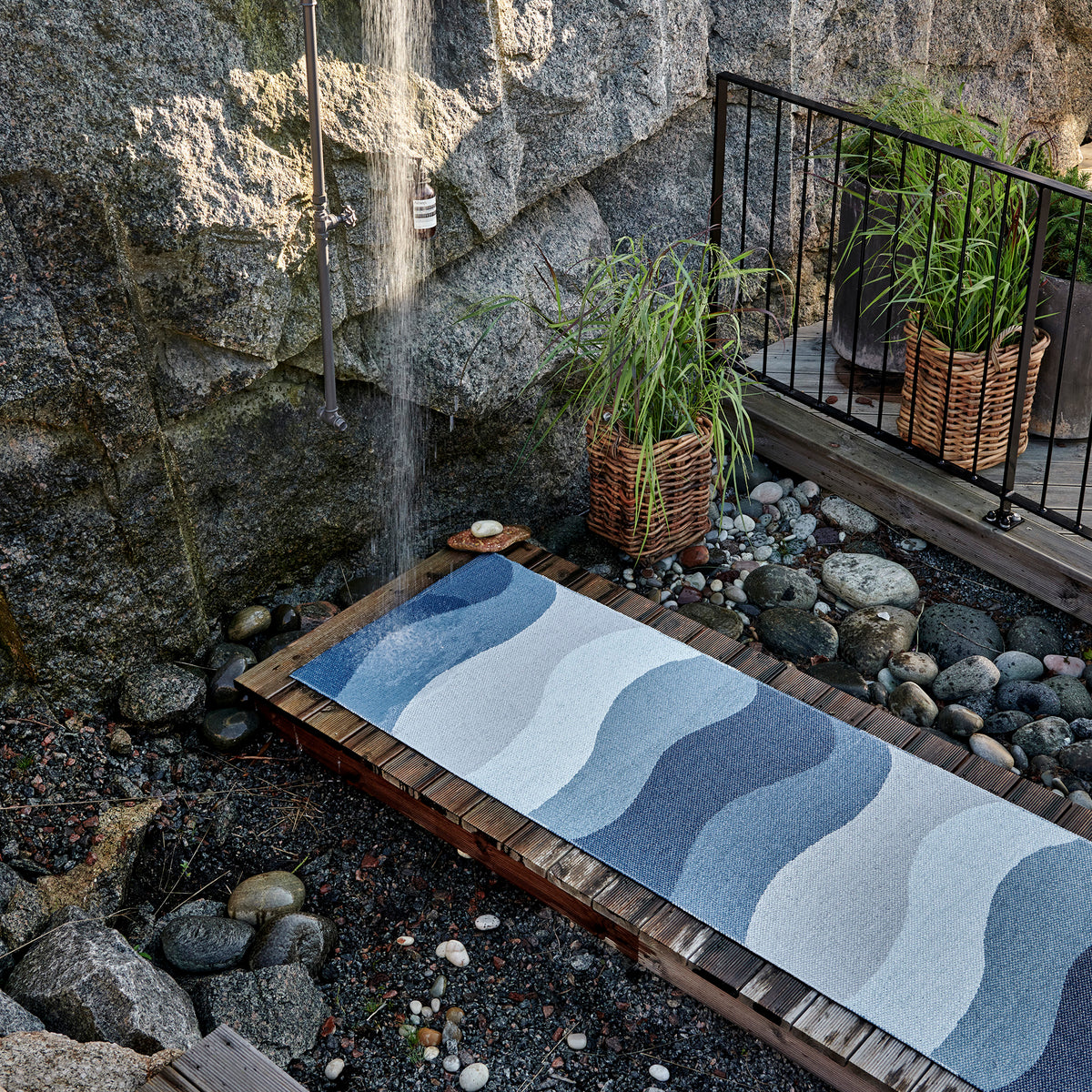 Pappelina x Bloomindales 2