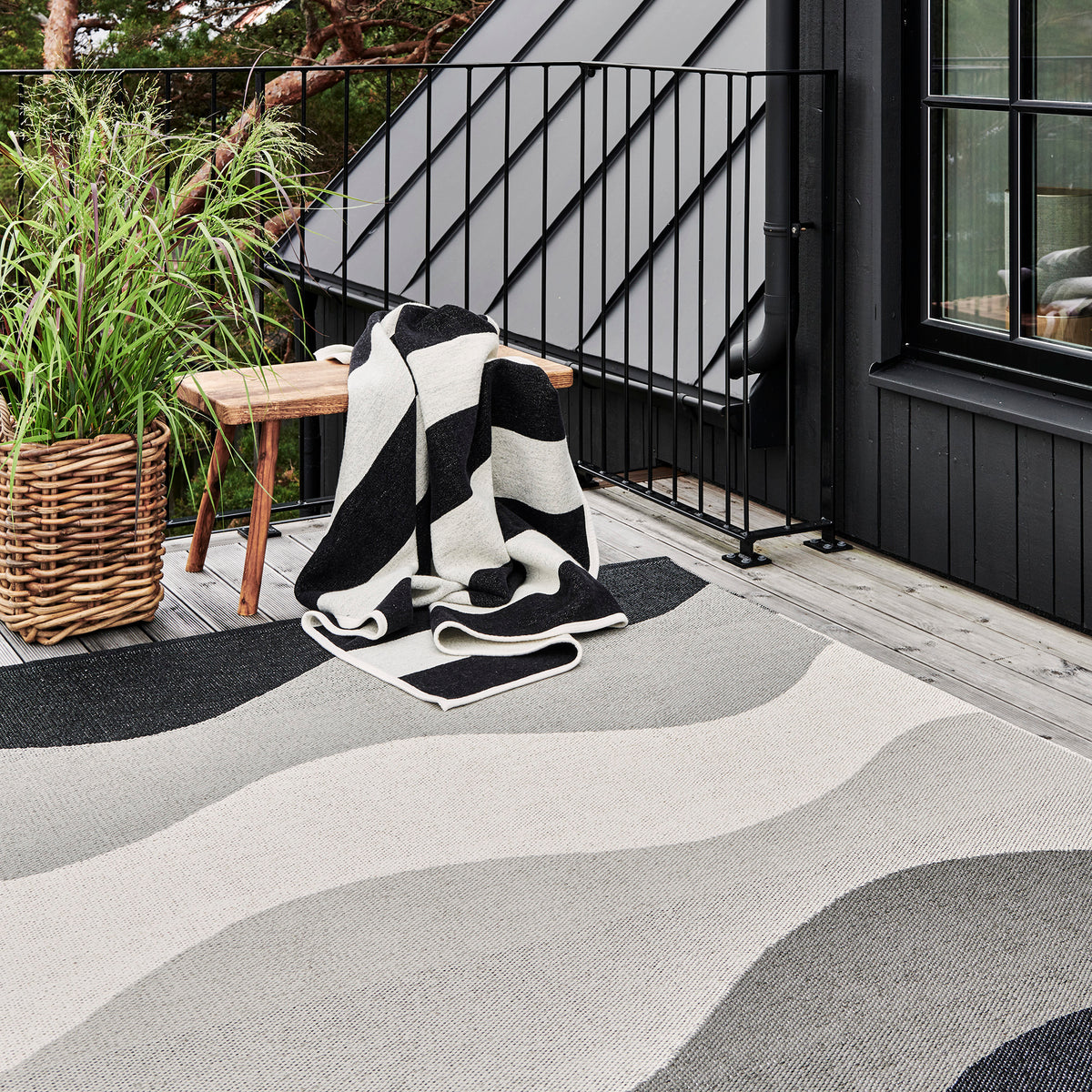 Pappelina x Bloomindales 2